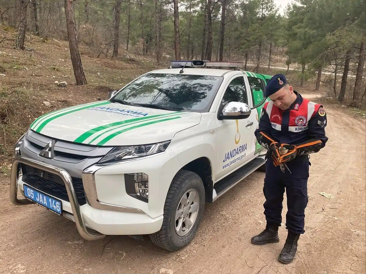 Amasya'da yaralı bulunan atmaca tedavi altına alındı