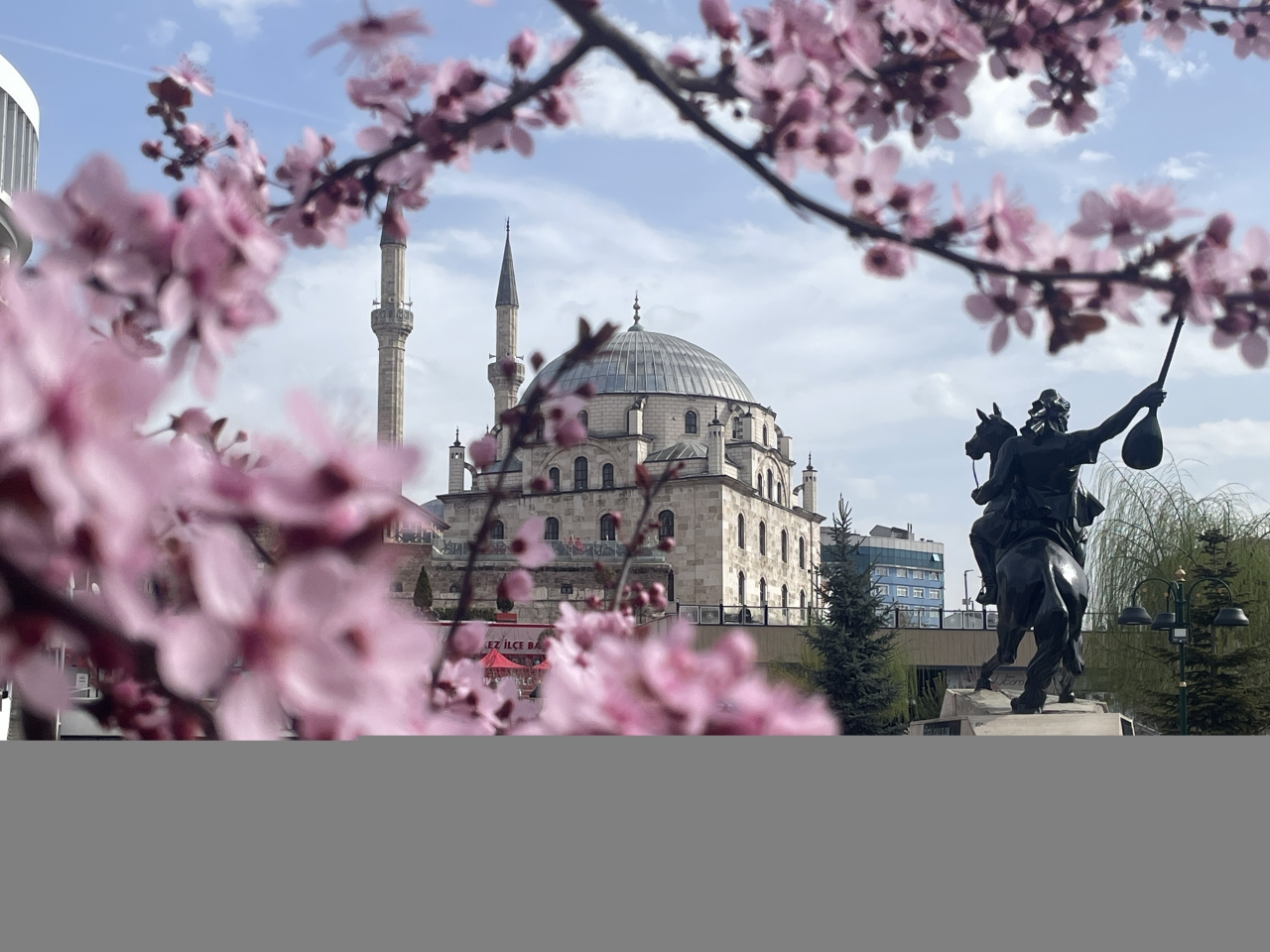 Bolu kent merkezinde meyve ağaçları çiçek açtı