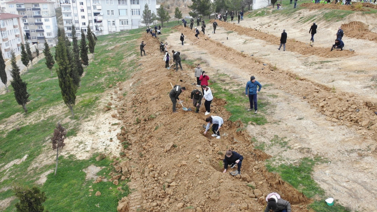Boyabat'ta 510 fidan toprakla buluşturuldu