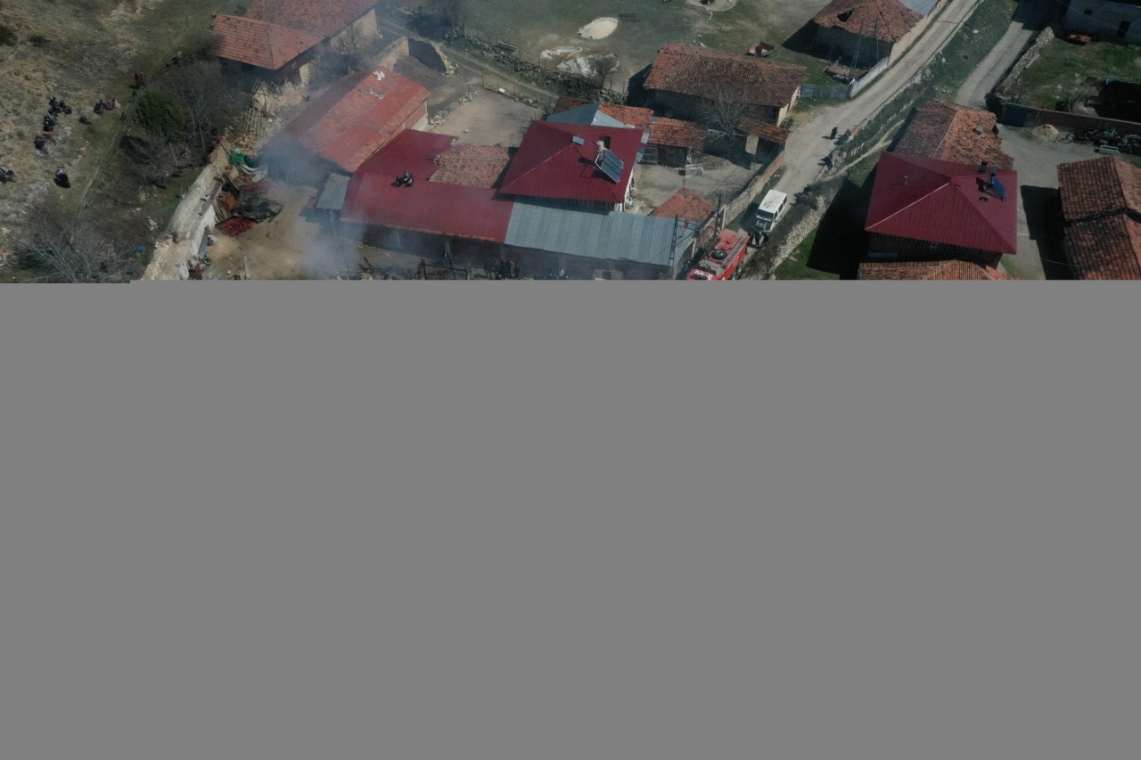 Kastamonu'da çıkan yangında 2 ev, 3 depo ve bir araç zarar gördü