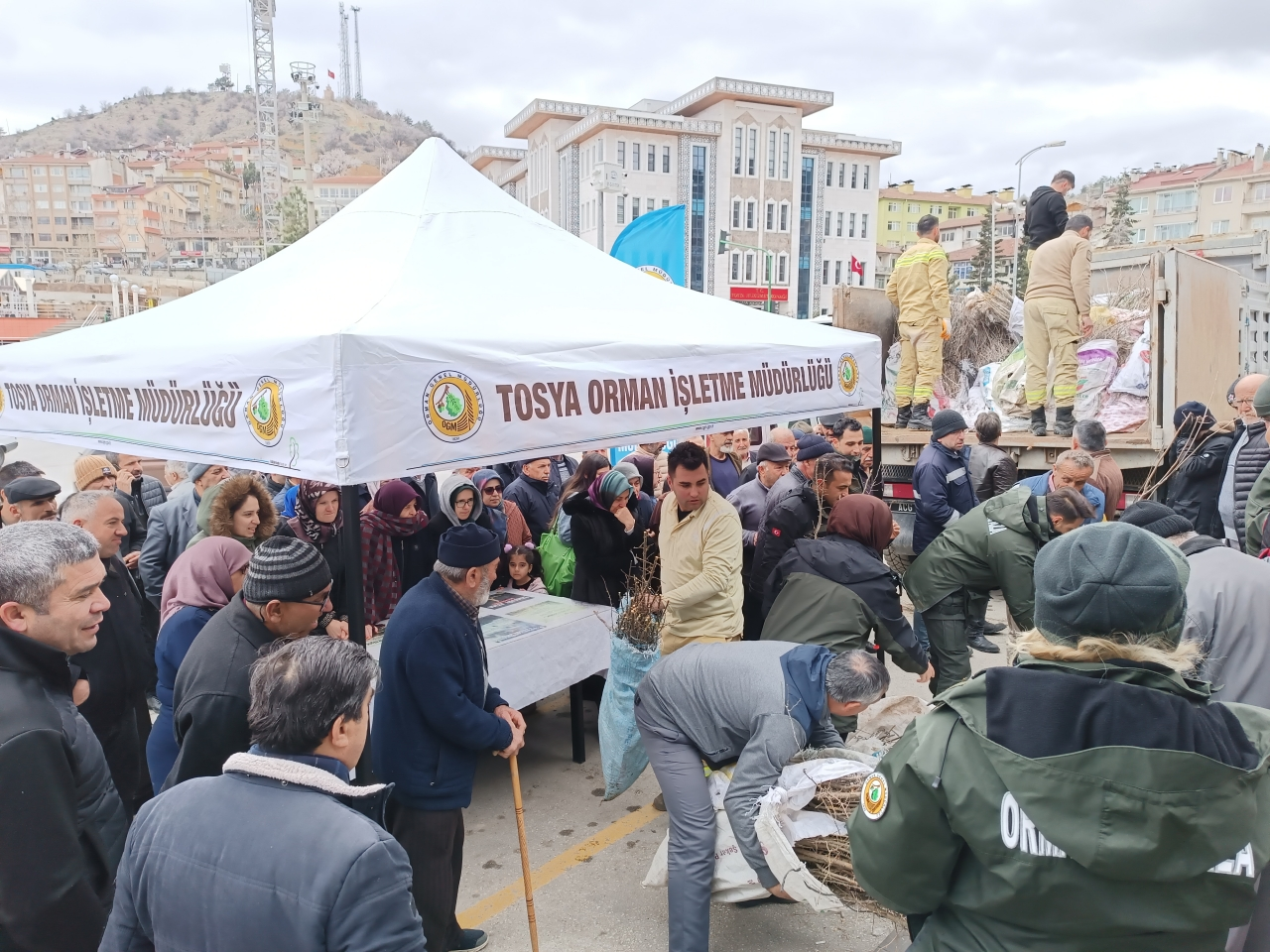Tosya'da 15 bin adet fidan dağıtıldı.