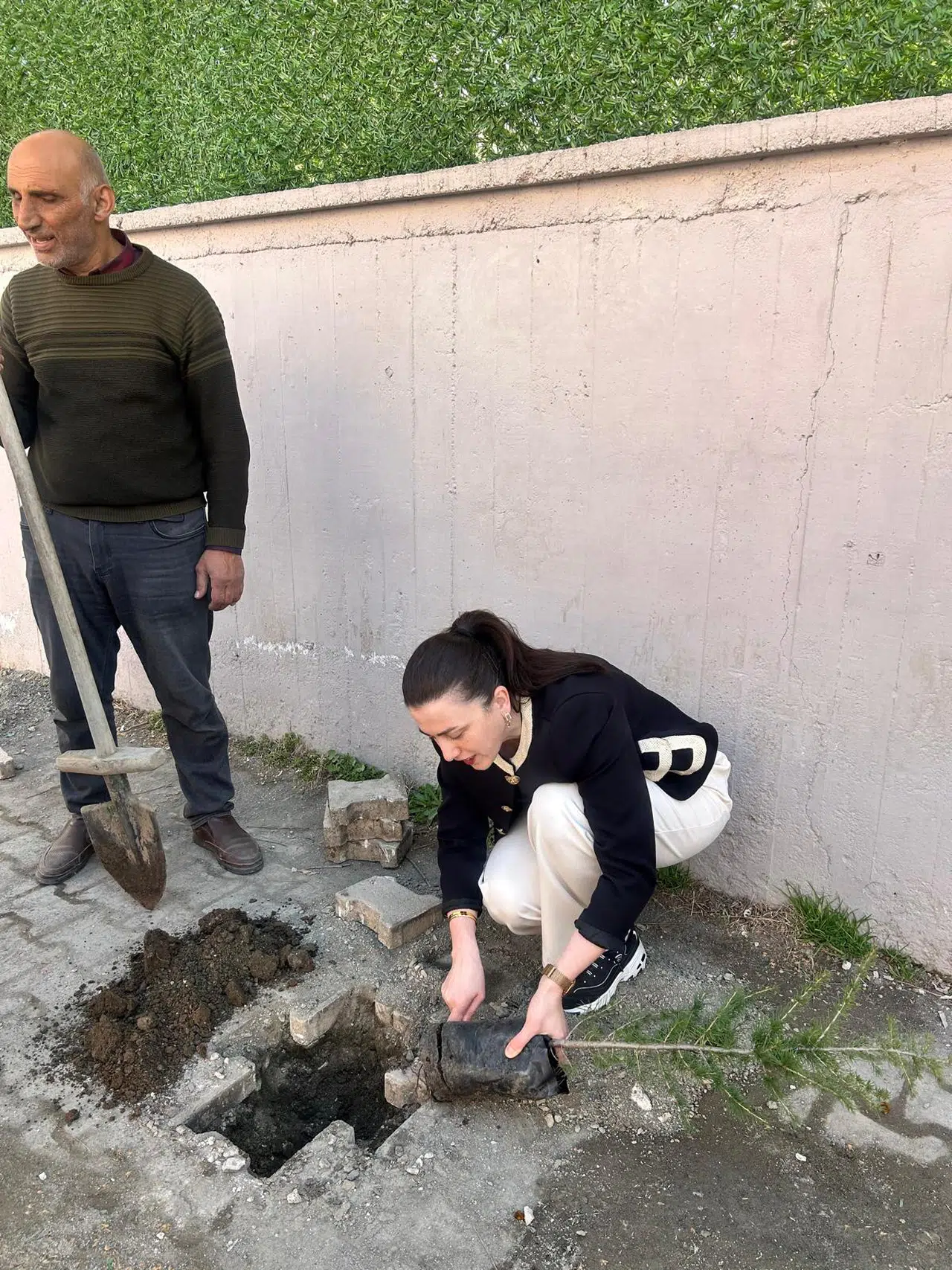 Turhal'da ortaokul bahçesine 14 çam fidanı dikildi