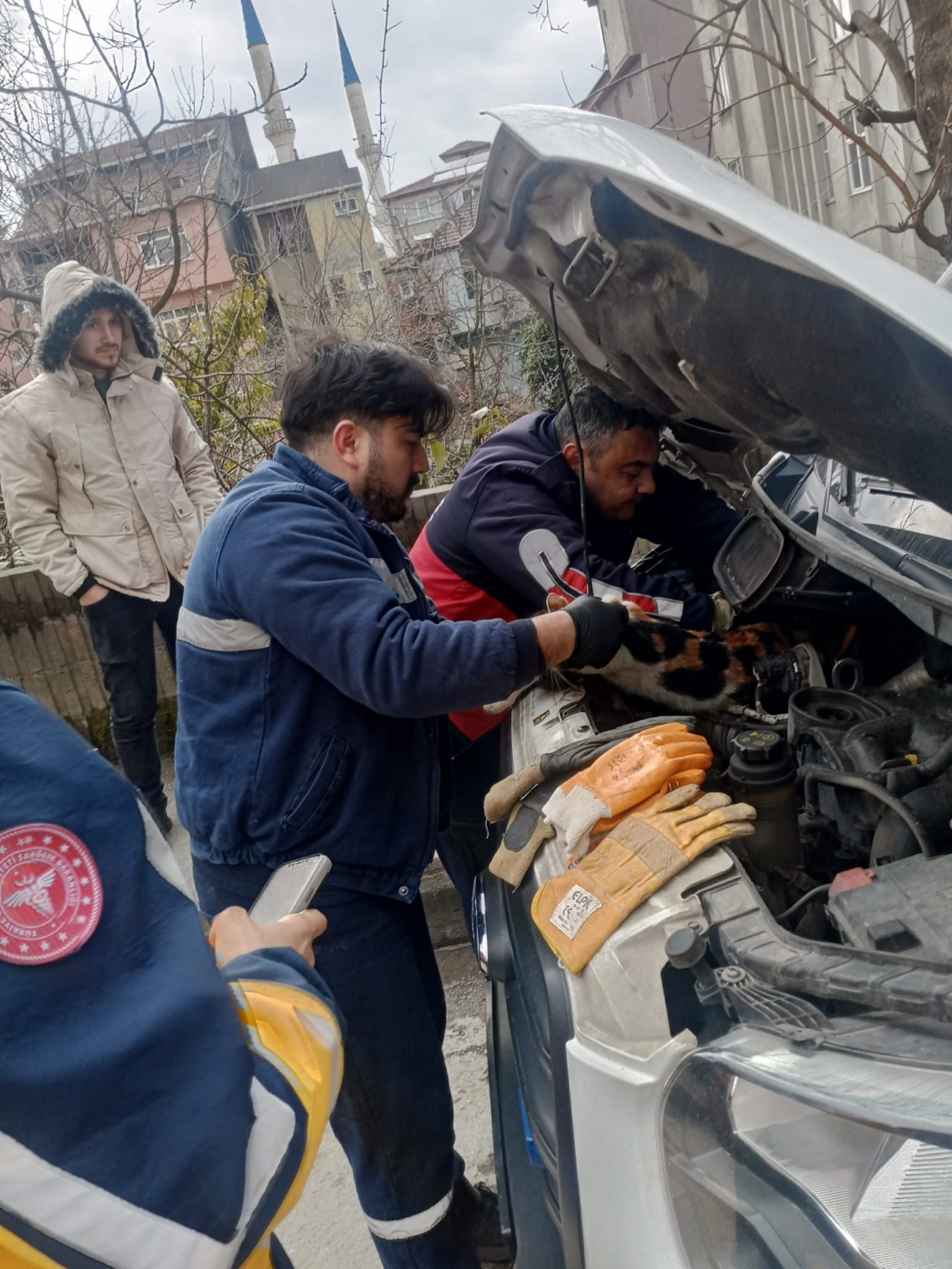 Zonguldak'ta ambulansın motor kısmına sıkışan kedi kurtarıldı