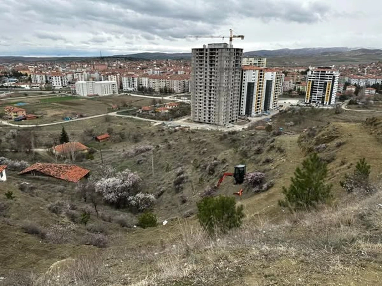 Lavanta Tepesi Projesi Hayata Geçiyor