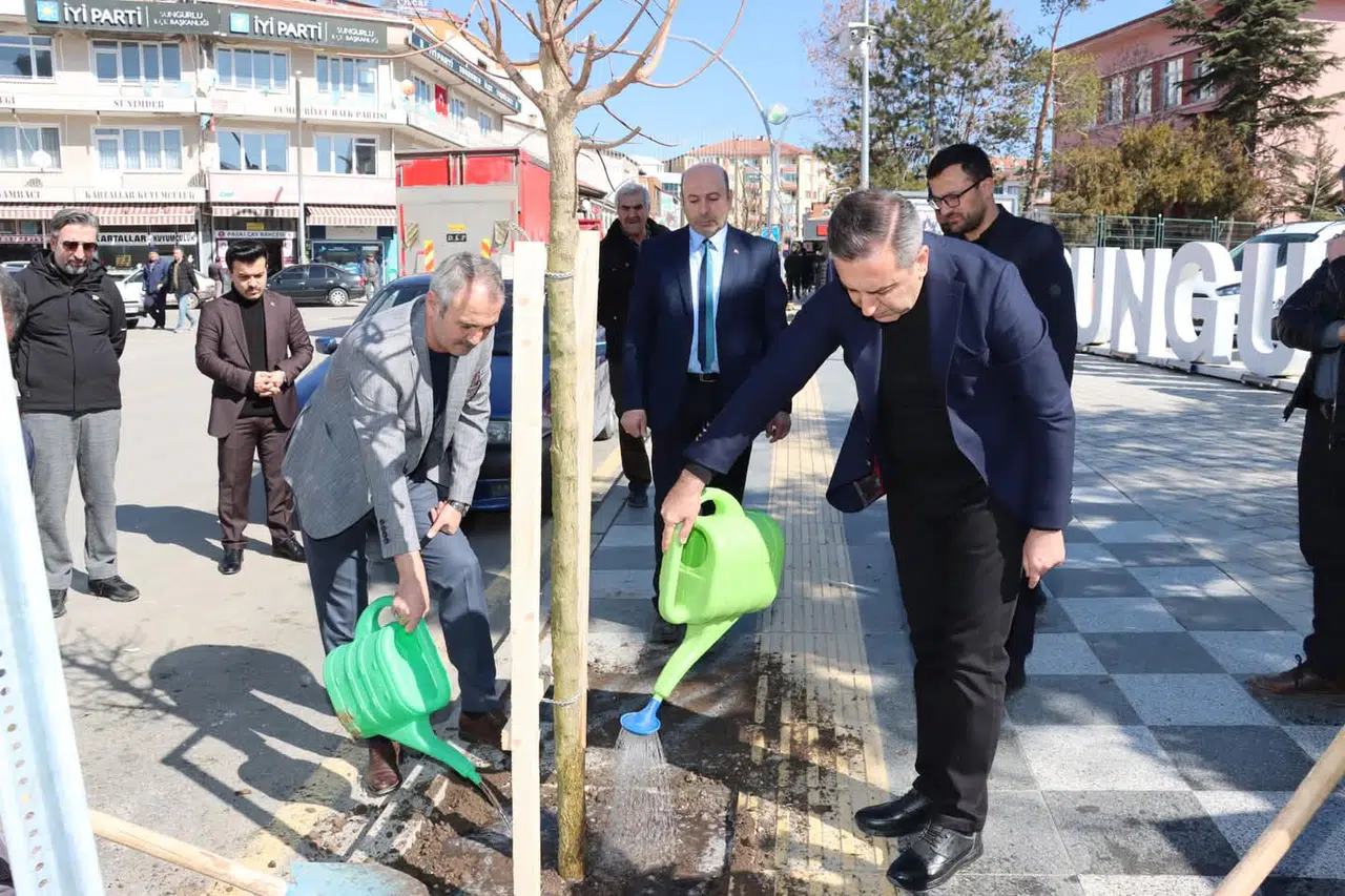 Sungurlu Yeşilleniyor