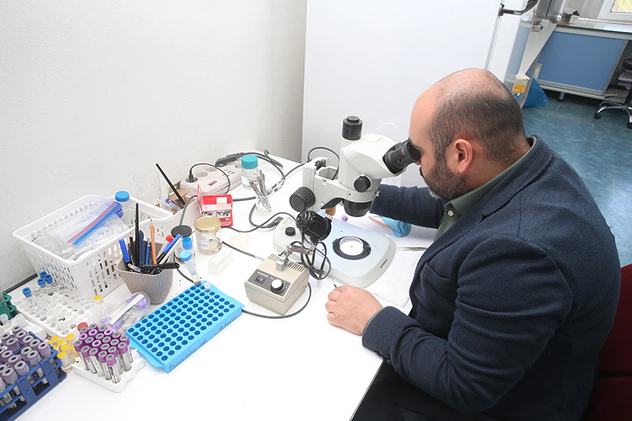 30 Bini Aşkın Kene Bilimsel Çalışmalar İçin Saklanıyor