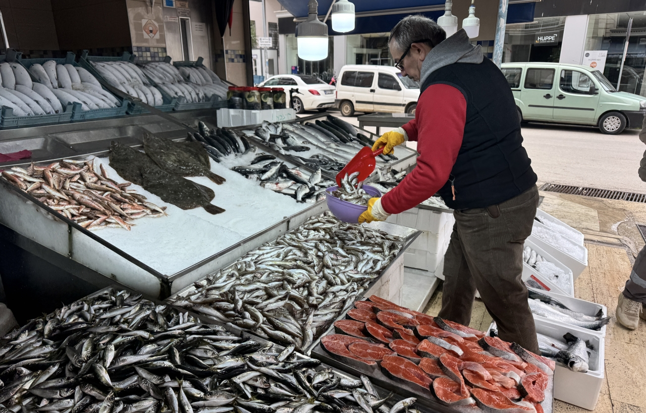 Balıkçı kenti Sinop'ta av sezonu bereketli kapanıyor