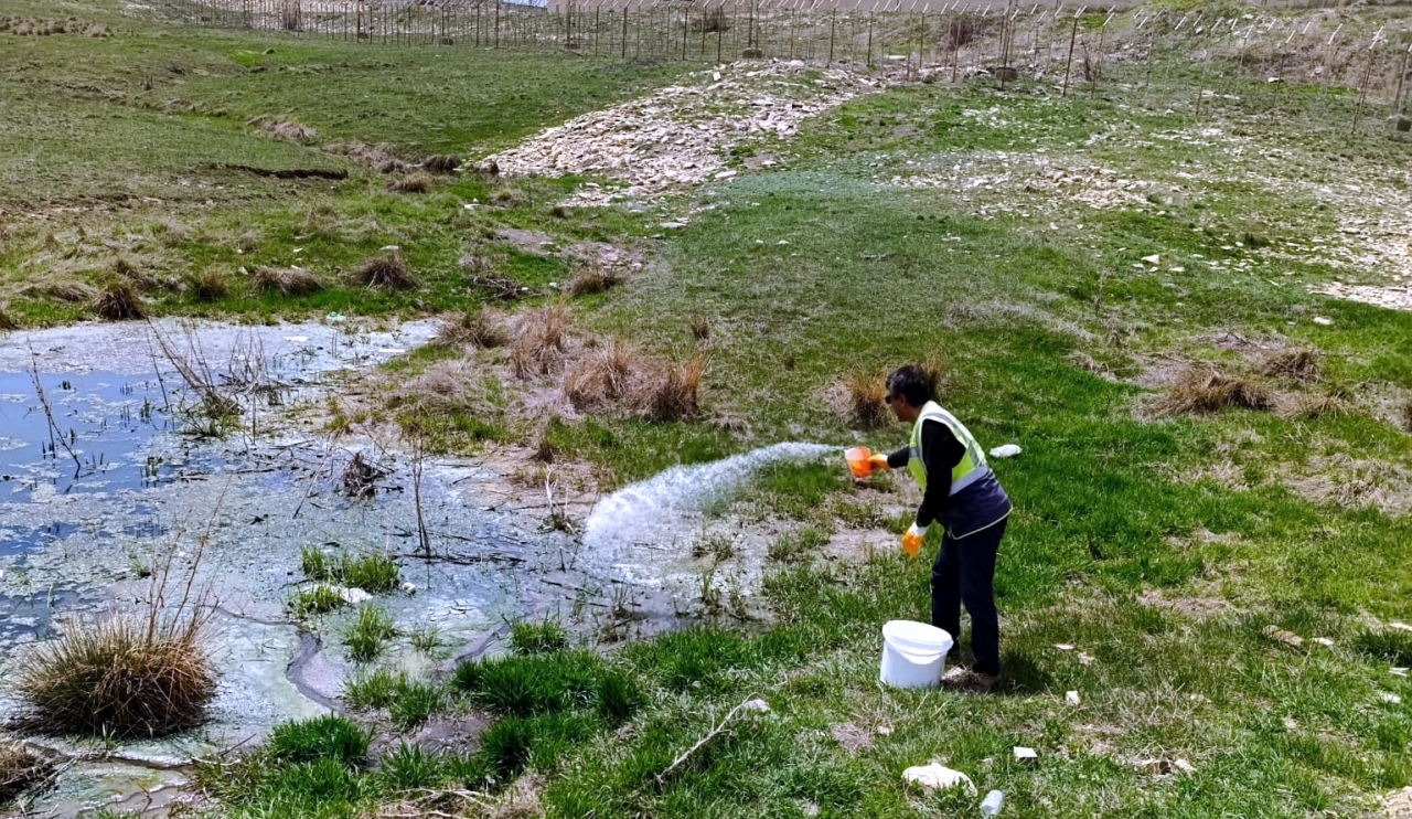 Bayburt'ta karasinek ve sivrisinekle mücadeleye başlandı