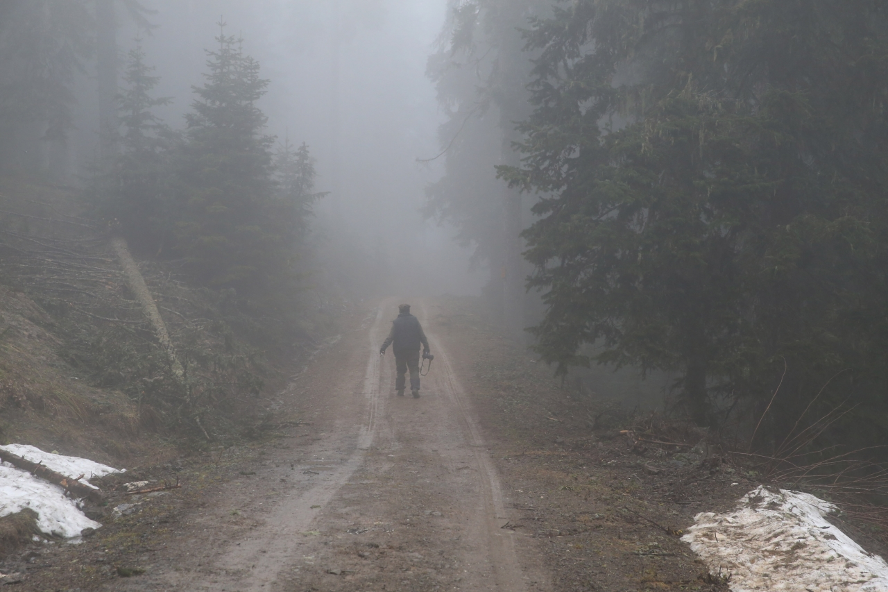 Ilgaz Dağı'nda sis etkili oldu