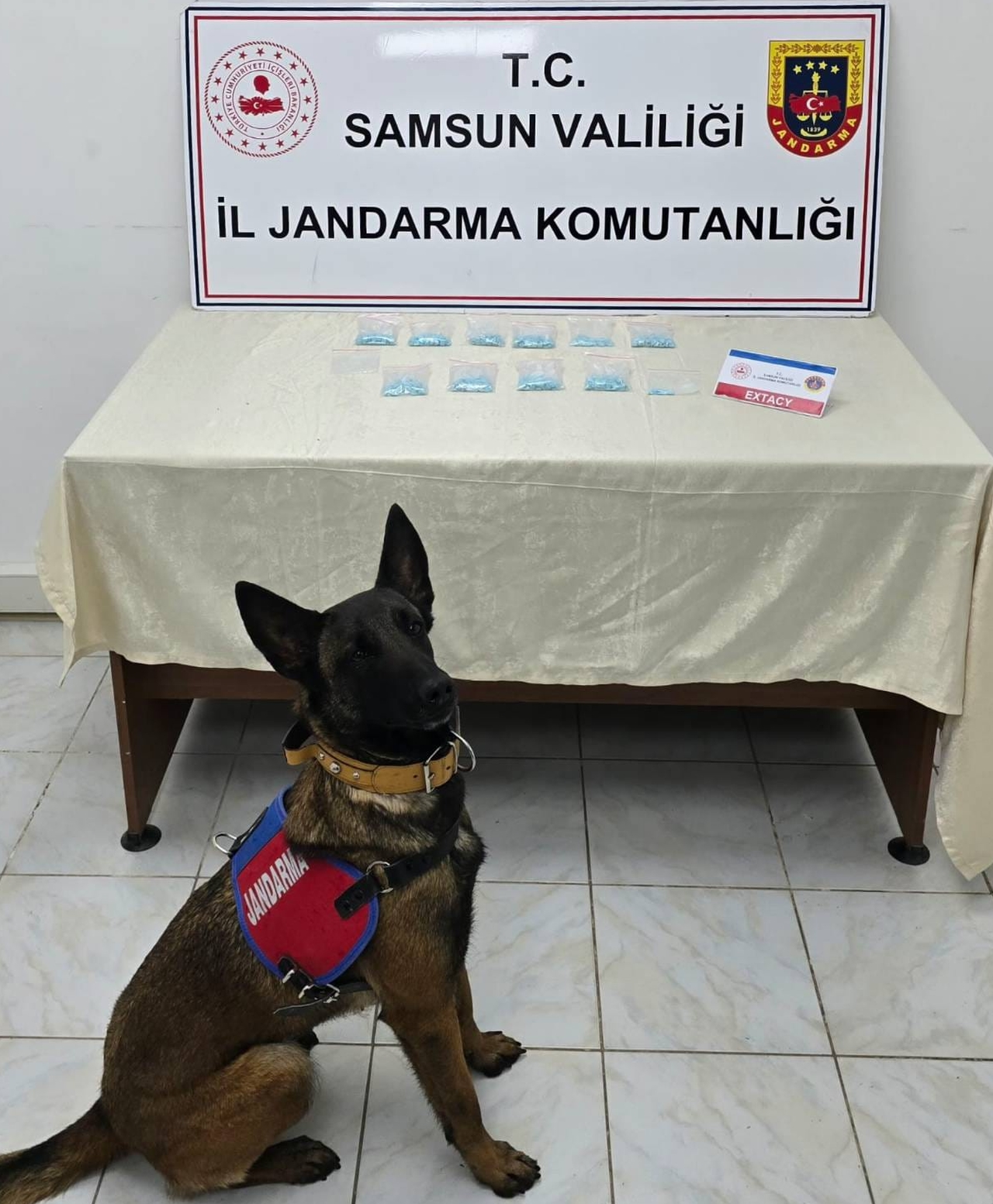 Kanepeye gizlenen uyuşturucu "Benek"in hassas burnundan kaçmadı