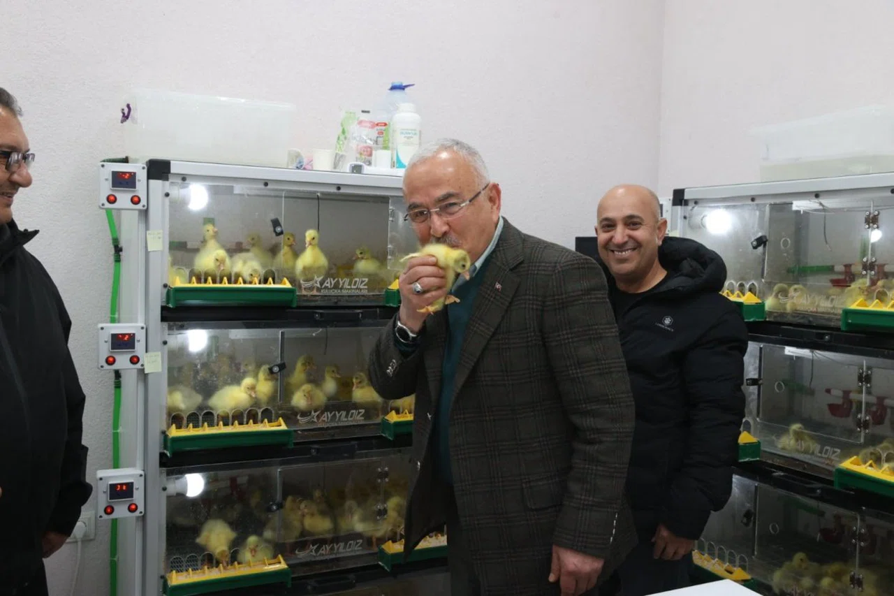 Ordu'dan Kars'a kaz satışı yapıldı