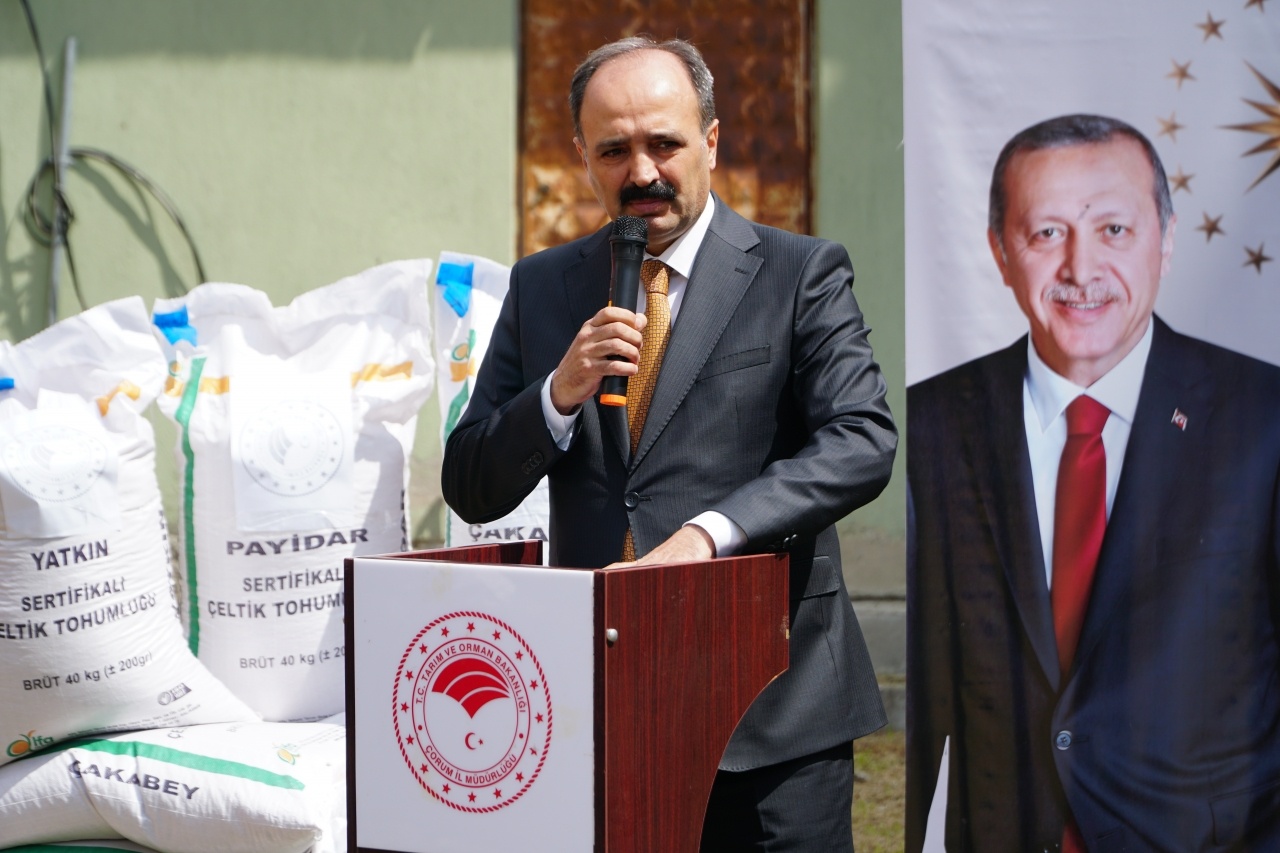 Osmancık’ta çeltik üreticilerine yüzde 50 hibe destekli yerli tohum dağıtıldı