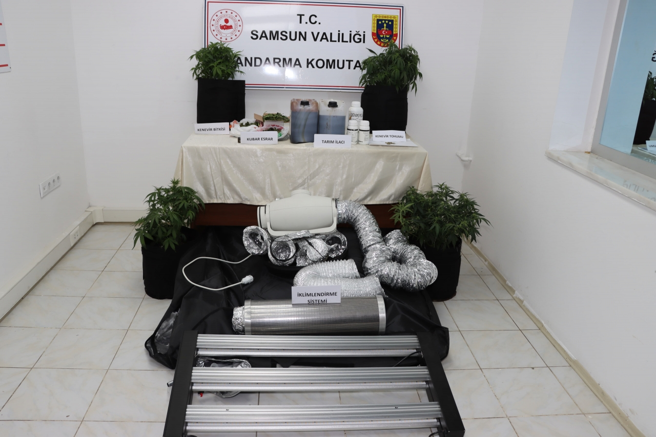 Samsun'da evinde iklimlendirme sistemiyle kenevir yetiştiren şüpheli yakalandı