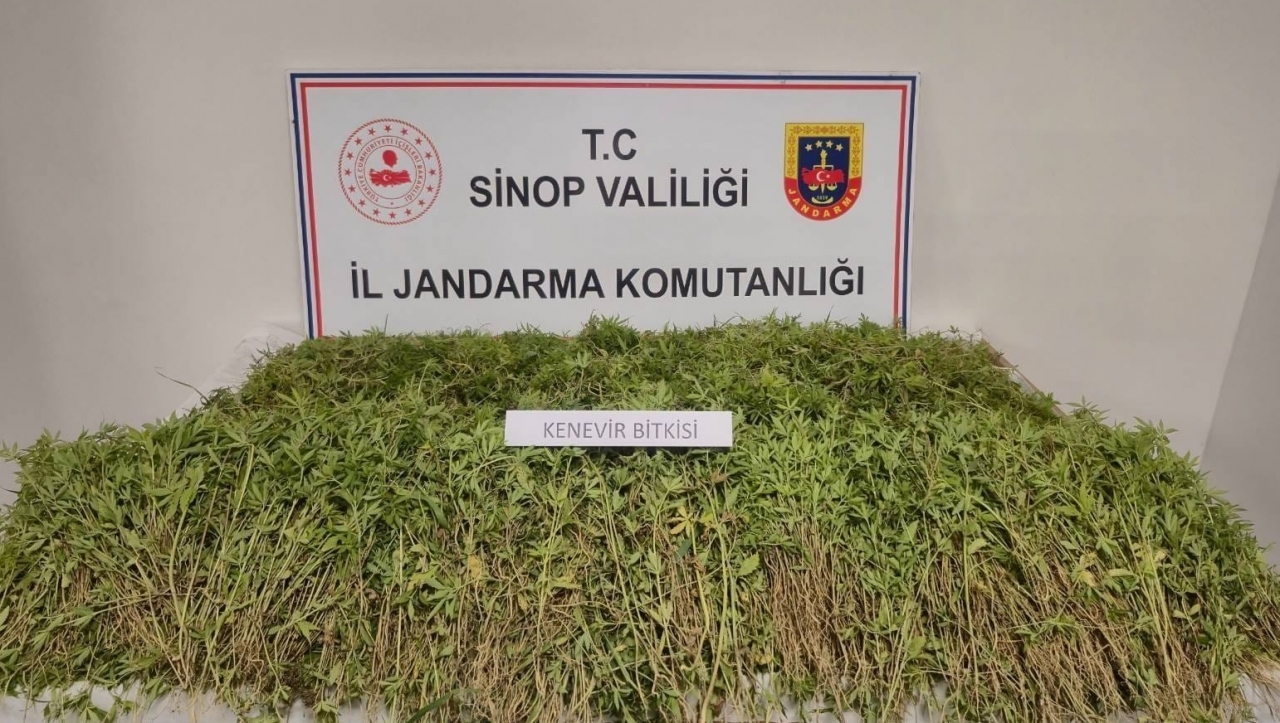 Sinop’ta uyuşturucu operasyonunda 2 kişi yakalandı