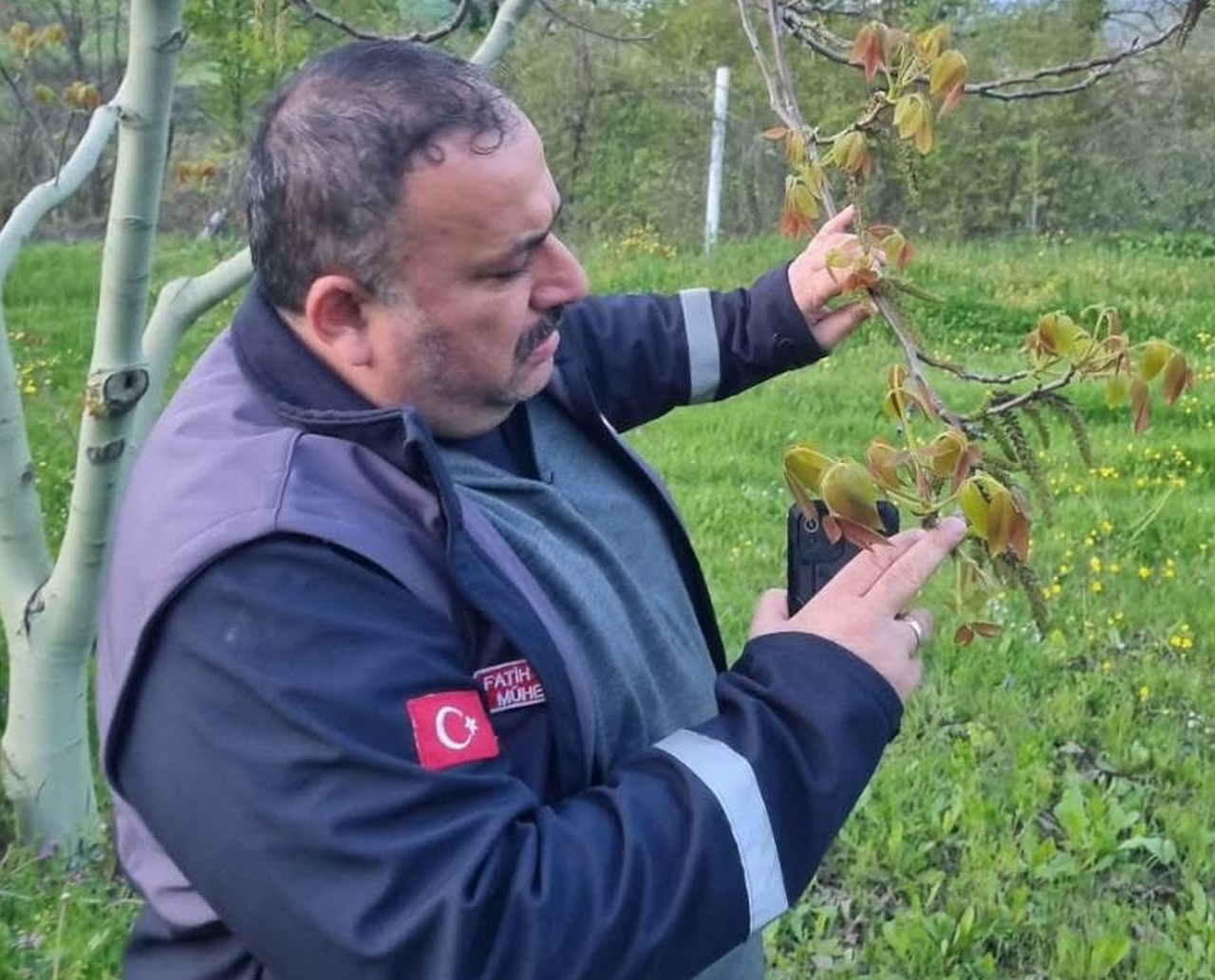 Sinop'ta zirai don tehlikesine karşı çiftçiler bilgilendiriliyor