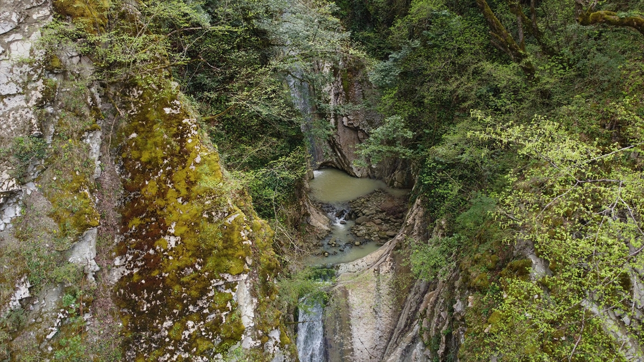Sinop'un saklı kalan Söküçayırı Şelalesi turizme kazandırılacak