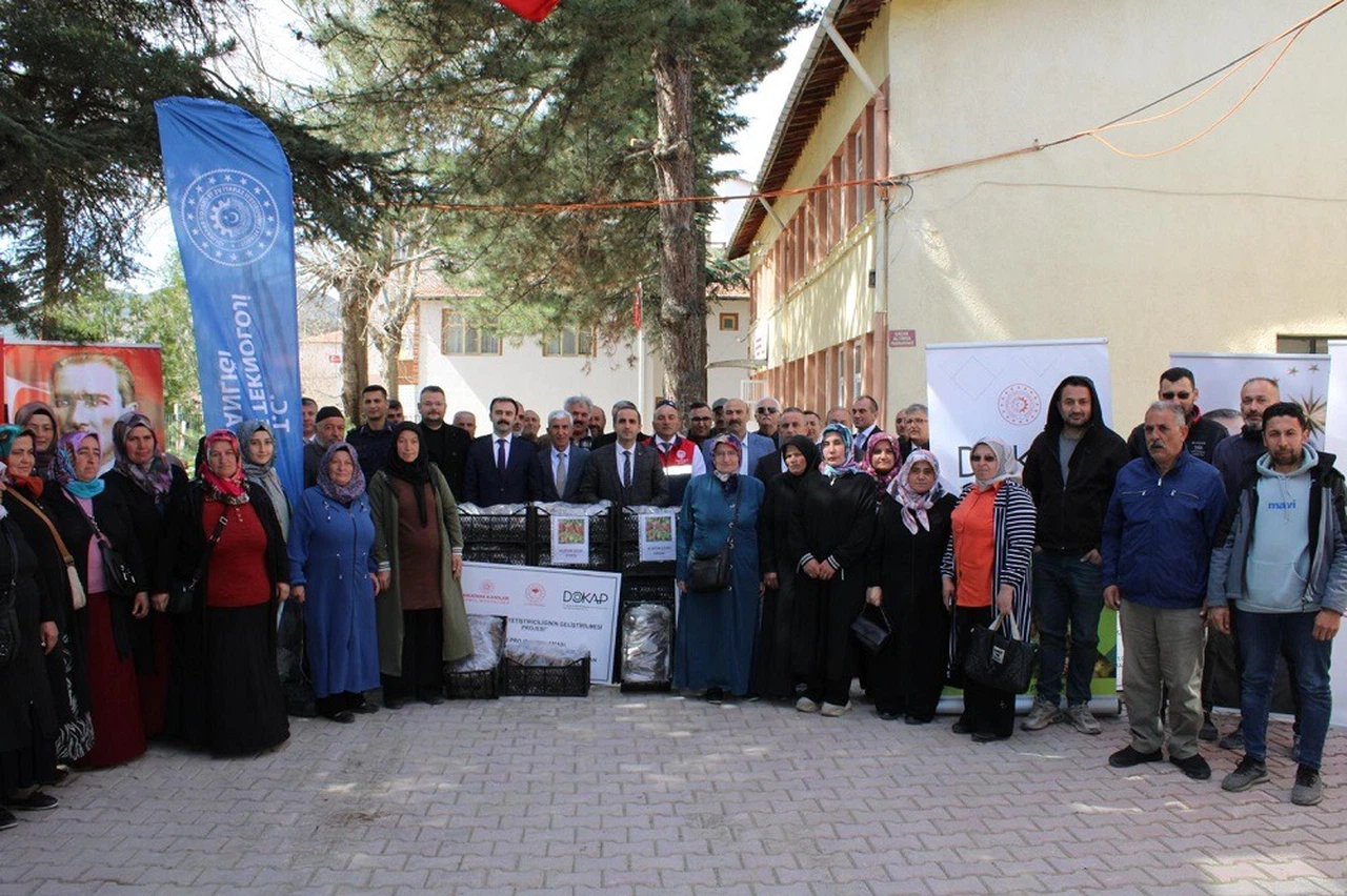 Çorum’daki Çiftçilere 140 Bin Çilek Fidesi Dağıtıldı