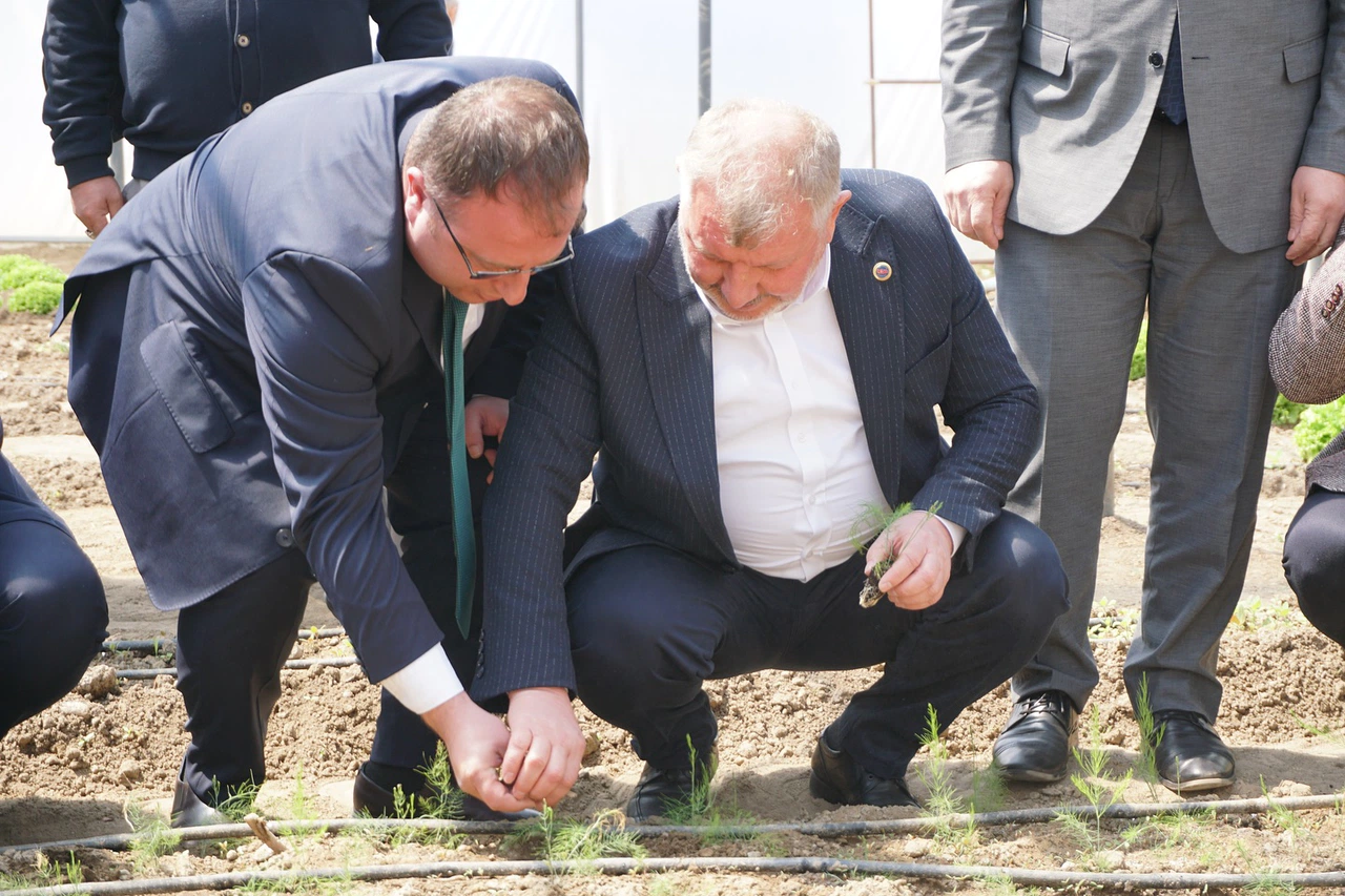 Gelgör, Sera Projesi Hakkında Konuştu