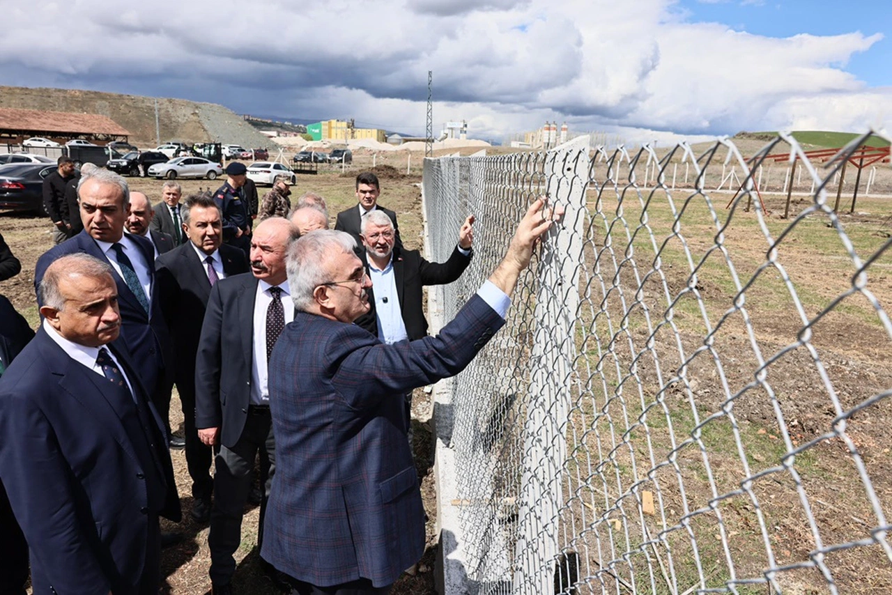 Karaloğlu: Çorum, Sokak Hayvanları Konusunda Şanslı