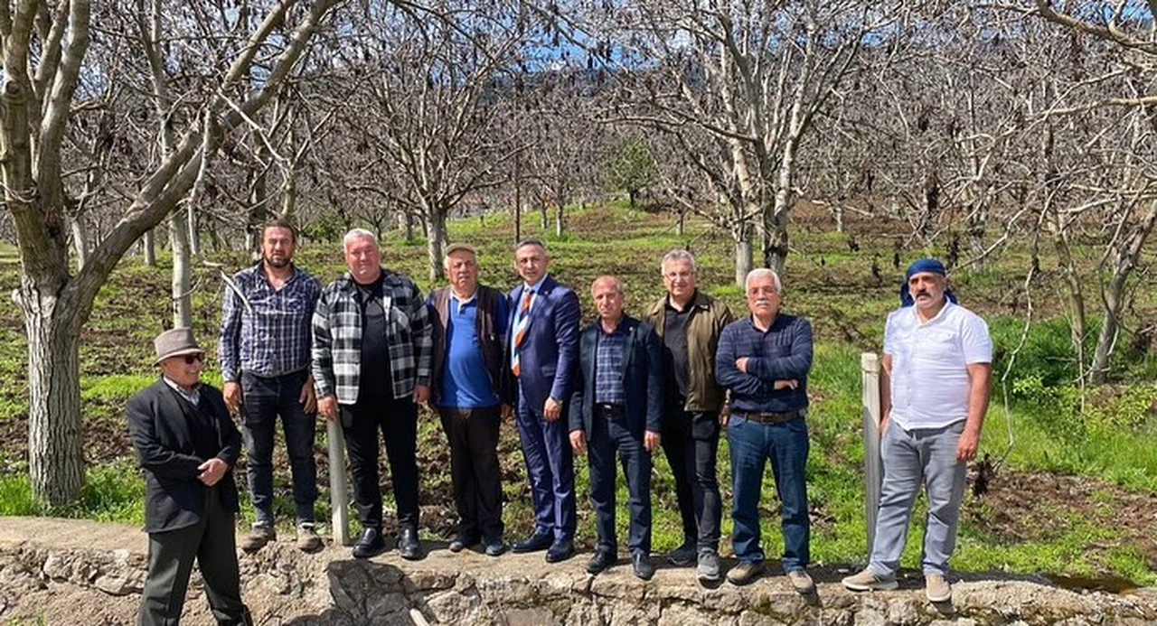 Oğuzlar'da Ceviz Ağaçlarını Don Vurdu