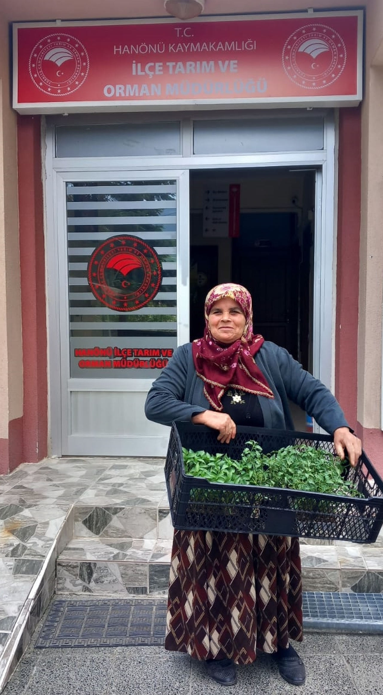 Hanönü'de 25 bin fide dağıtıldı