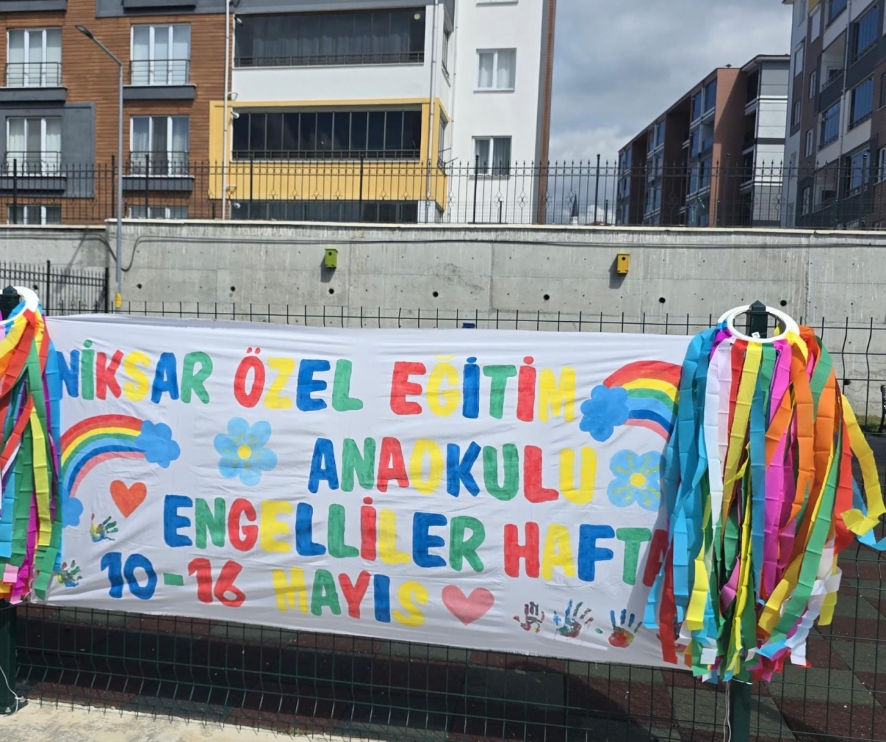 Niksar'da Engelliler Haftası dolasıyla program düzenlendi