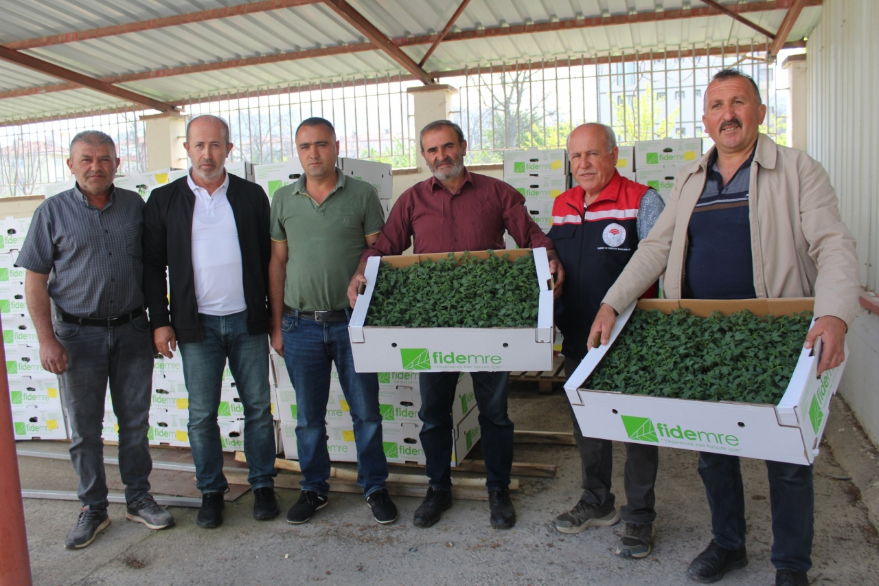 Tokat'ta çiftçilere 49 bin yerli sebze dağıtıldı