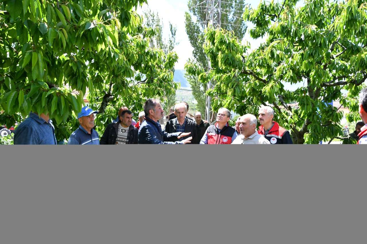 Tokat'ta yaşanan zirai don sonrası toplantı yapıldı