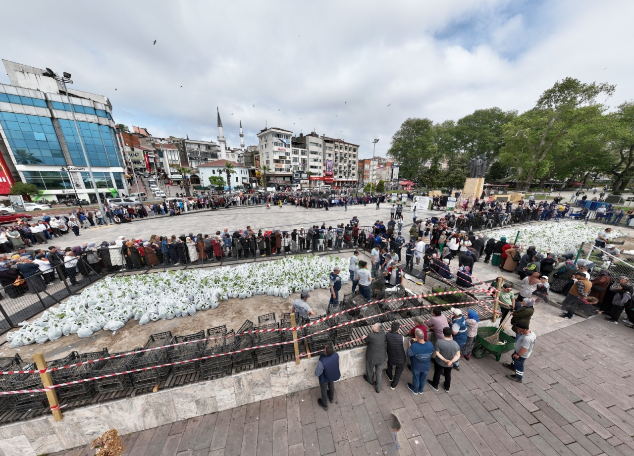 Zonguldak'ta ata tohumlarıyla yetiştirilen 350 bin sebze fidesi dağıtıldı
