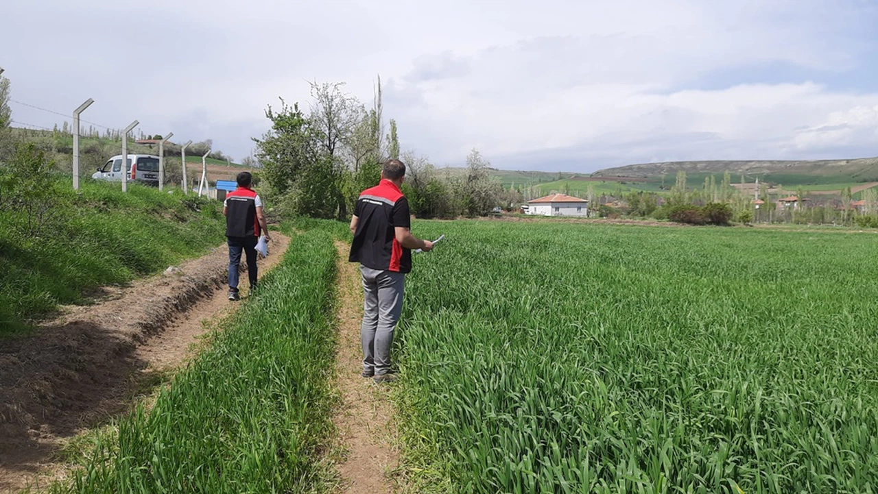 Ekipler Arazide Ürün Takibi Yapıyor