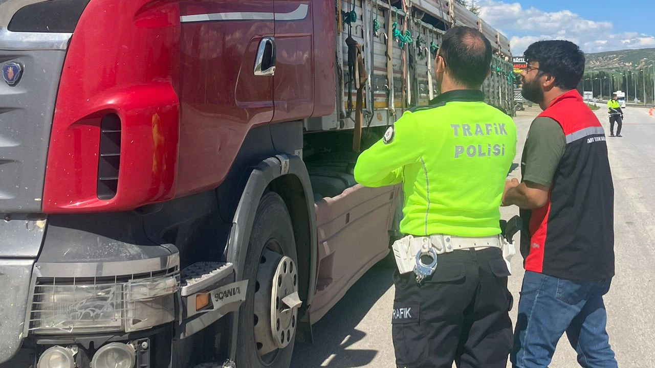 Ekiplerden Hayvan Denetimleri