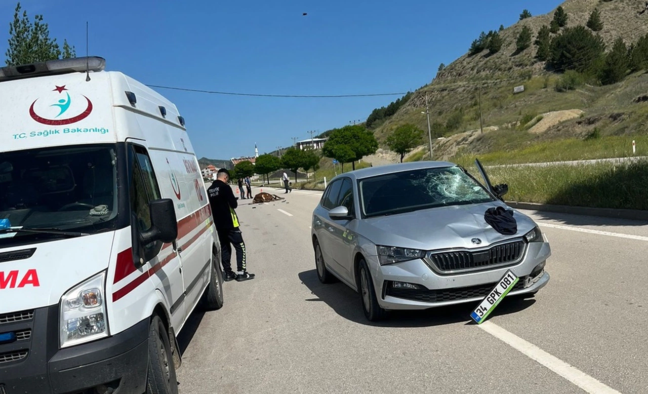 İneğe Çarpan Otomobilin Sürücüsü Yaralandı