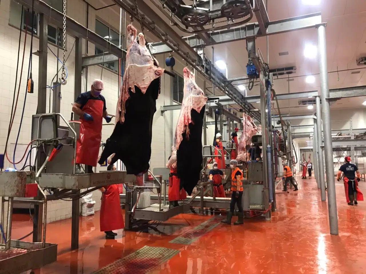 Kurban Kesimi İçin ‘Online Randevu’ Sistemi
