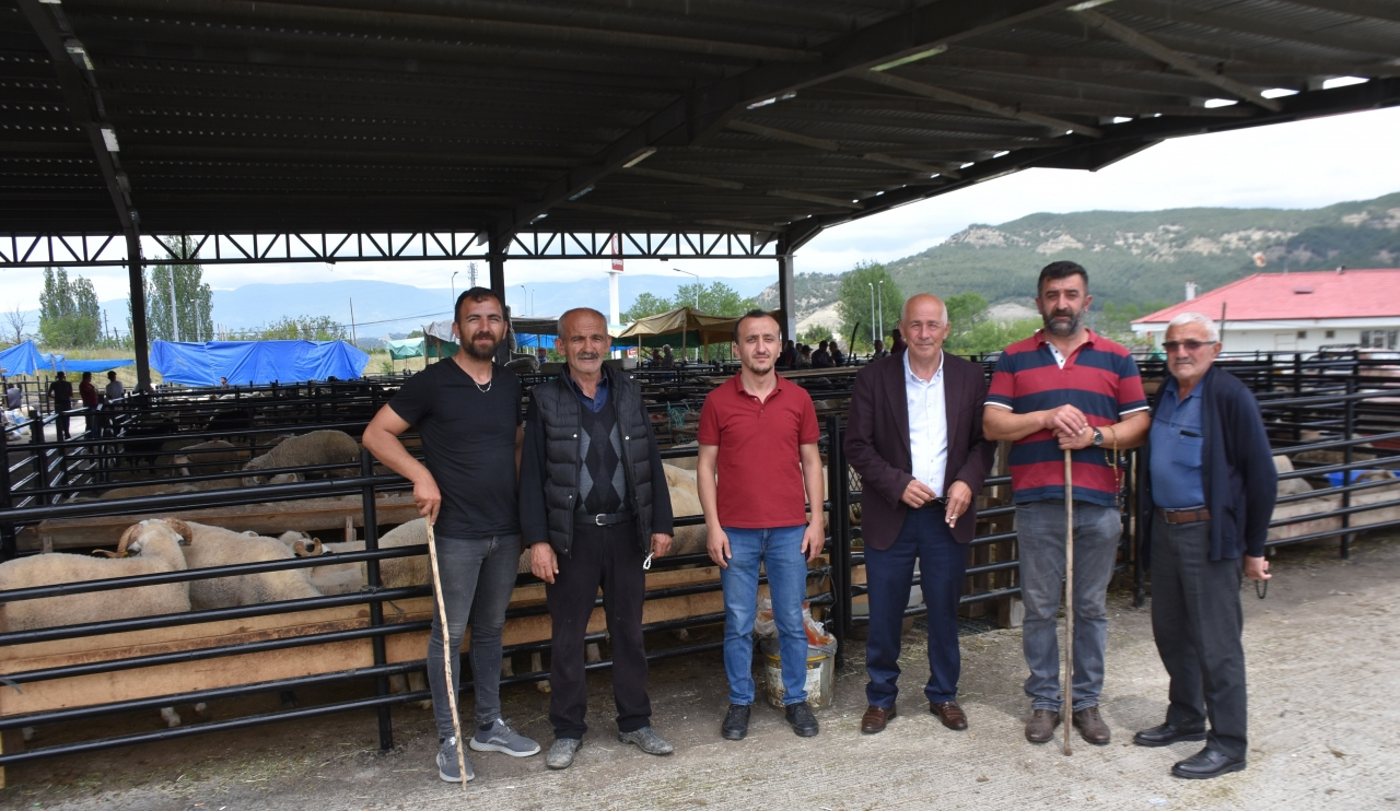 Boyabat ilçesinde canlı hayvan pazarı açıldı