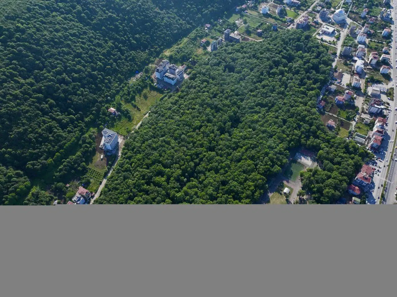 Samsun'da Çakırlar Korusu ziyaretçilerin ilgisini çekiyor