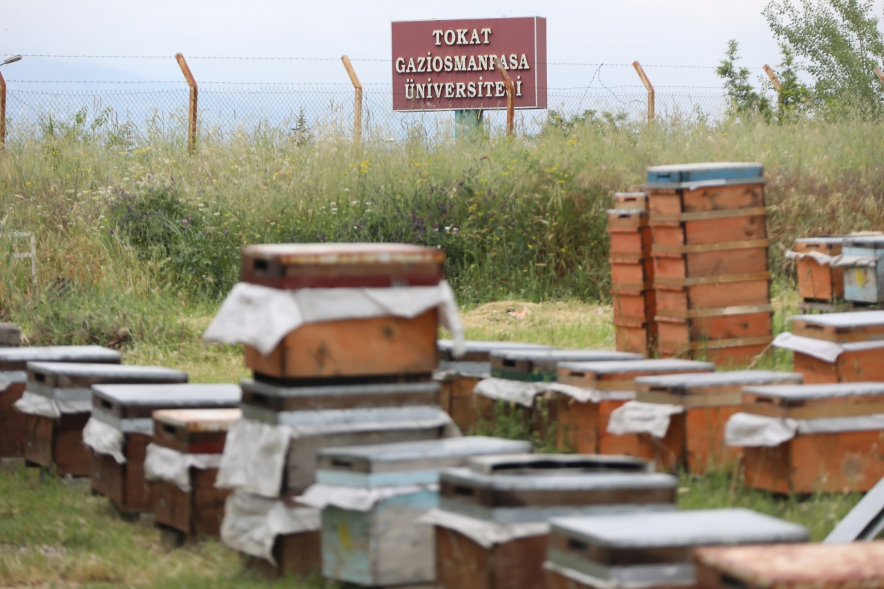 TOGÜ'de "Çocuklarımın Eğitimine Ürettiğim Balımla Destek Olacağım" projesi