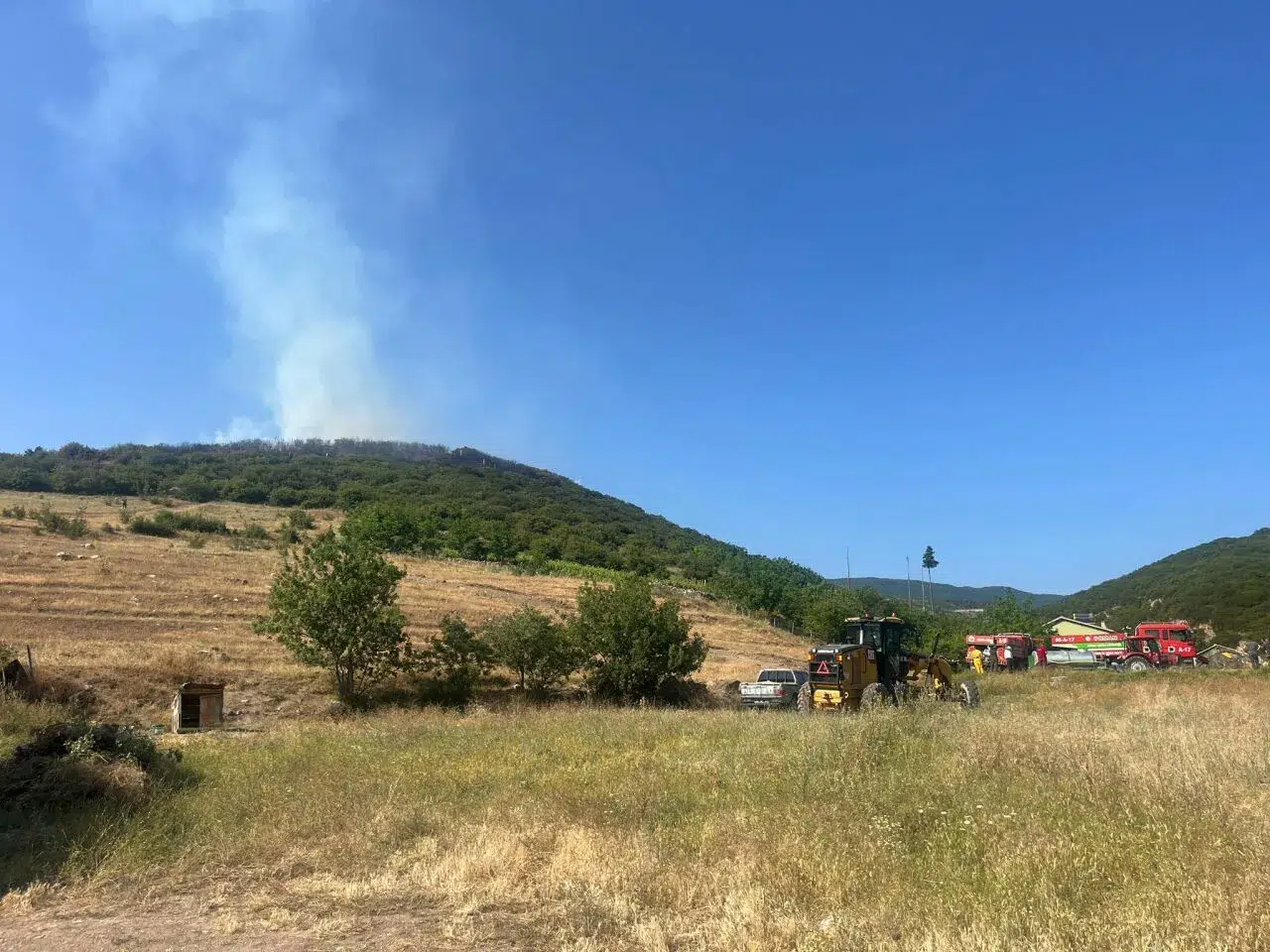 Tokat'ta ormanlık alanda çıkan yangına müdahale ediliyor