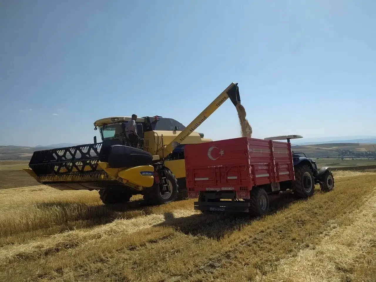 Arpa Hasadına Başlandı
