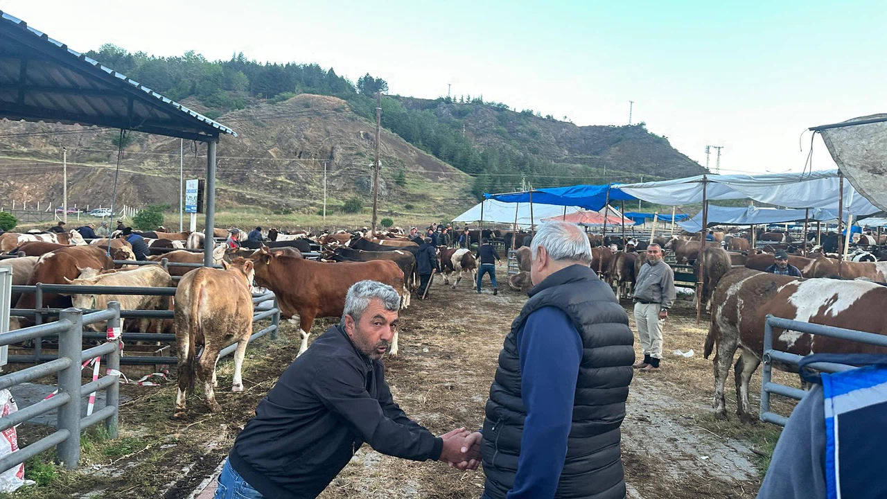 Çizikci Hayvan Pazarını Ziyaret Etti