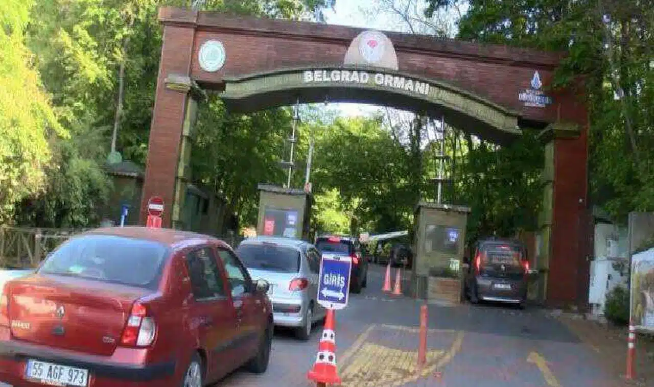 Tatilde yine Belgrad Ormanı'na akın ettiler