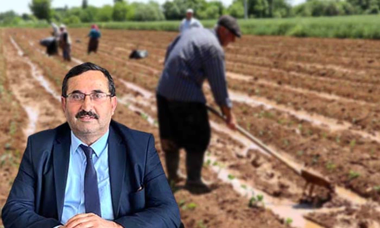Tarım İşçilerinin 2023 Yevmiyesi Belli Oldu