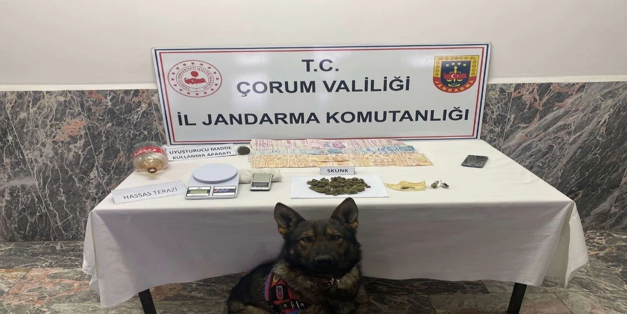 Jandarmadan Uyuşturucu Operasyonu