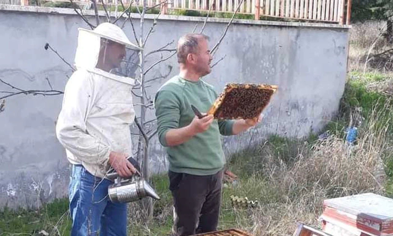 Dodurga’da Üreticilere Temel Arıcılık Eğitimi