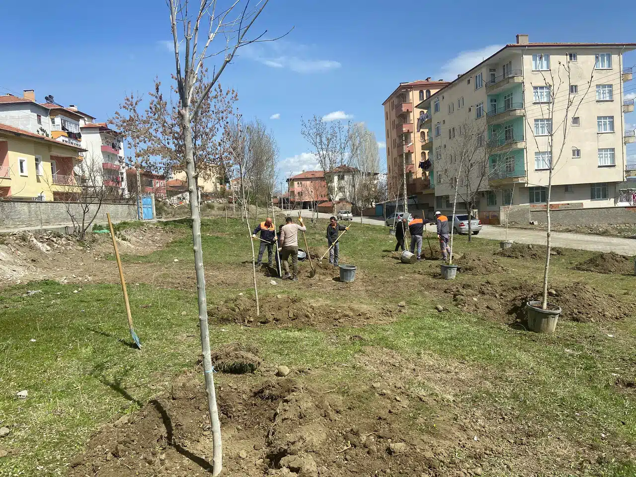 Sungurlu Yeşilleniyor