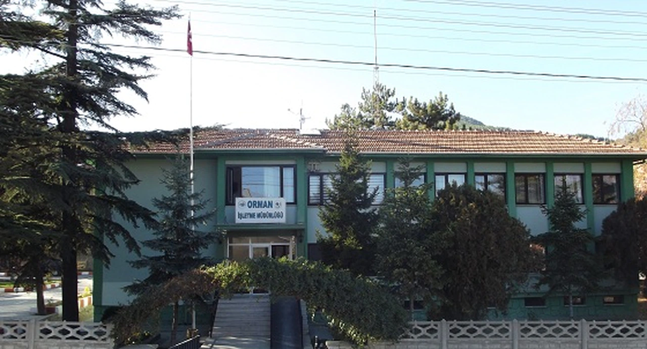 İskilip Orman İşletme'den Yeni Yol Yapım İşi