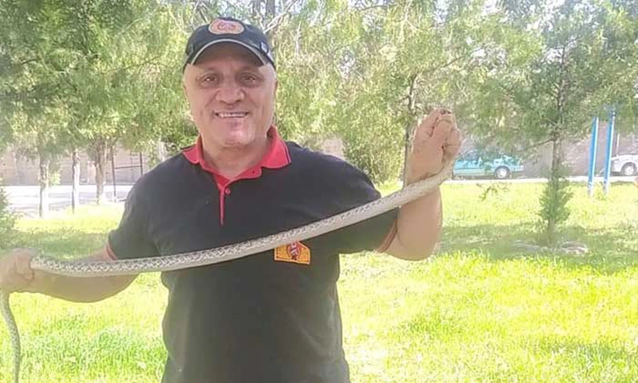 Ağaca Çıkan Yılan Paniğe Neden Oldu