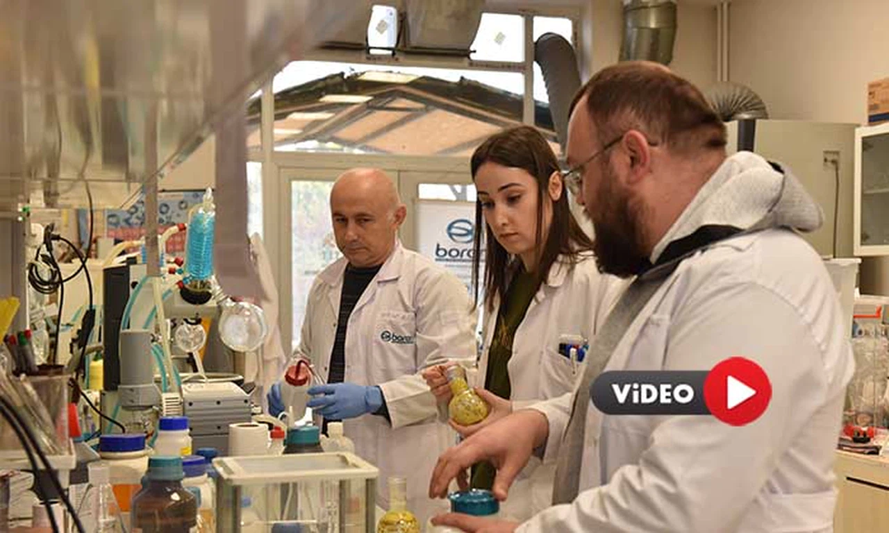 Kemik Erimesi, Borlu Gıda Takviyeleriyle Önlenecek
