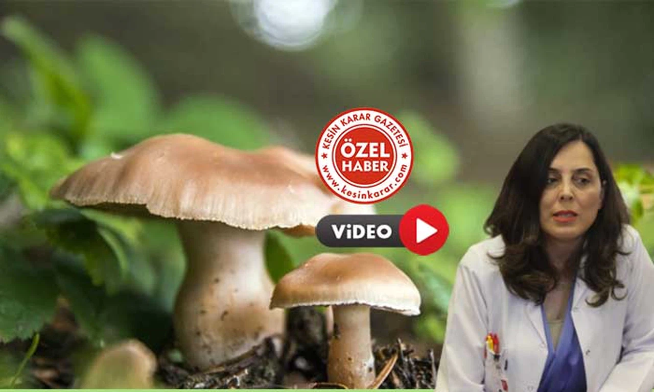 Toplumda ‘Doğru’ Bilinen ‘Yanlışlar’