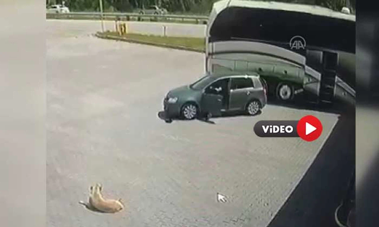 Facianın Eşiğinden Dönüldü!