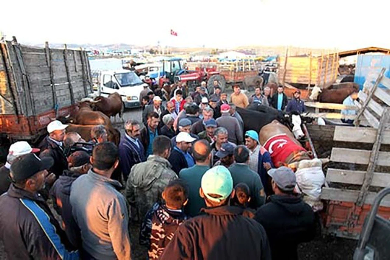 Hayvan Pazarı Bayram Öncesinde Açılacak